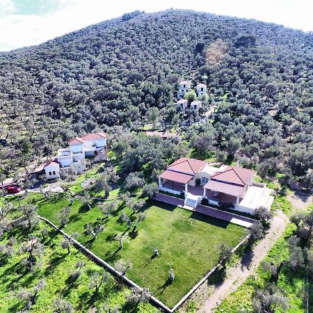 Gera'S Olive Grove - Elaionas Lesvou Hotel Marmaro  Luaran gambar