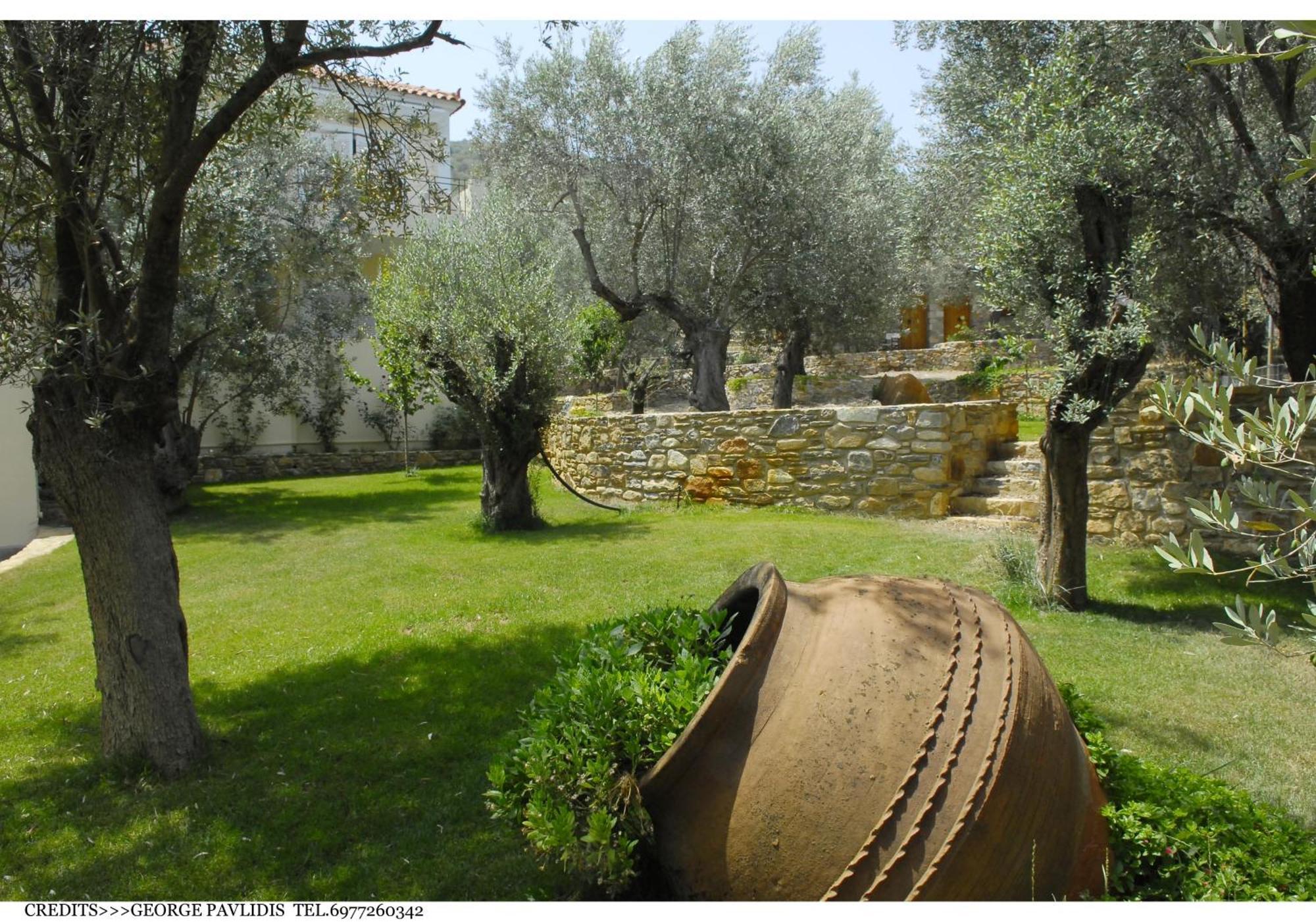 Gera'S Olive Grove - Elaionas Lesvou Hotel Marmaro  Luaran gambar
