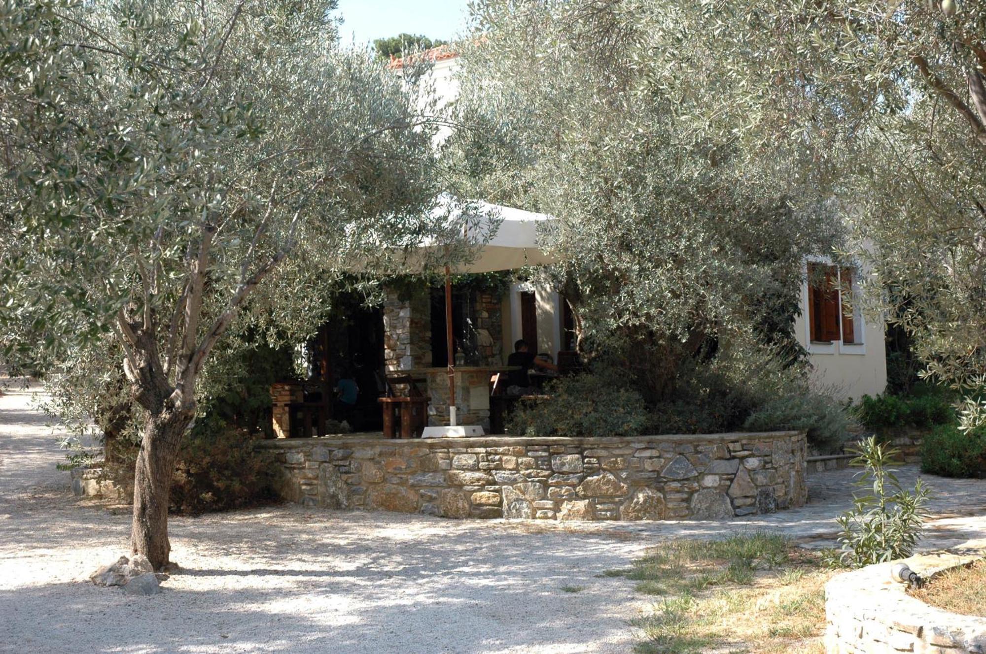 Gera'S Olive Grove - Elaionas Lesvou Hotel Marmaro  Luaran gambar