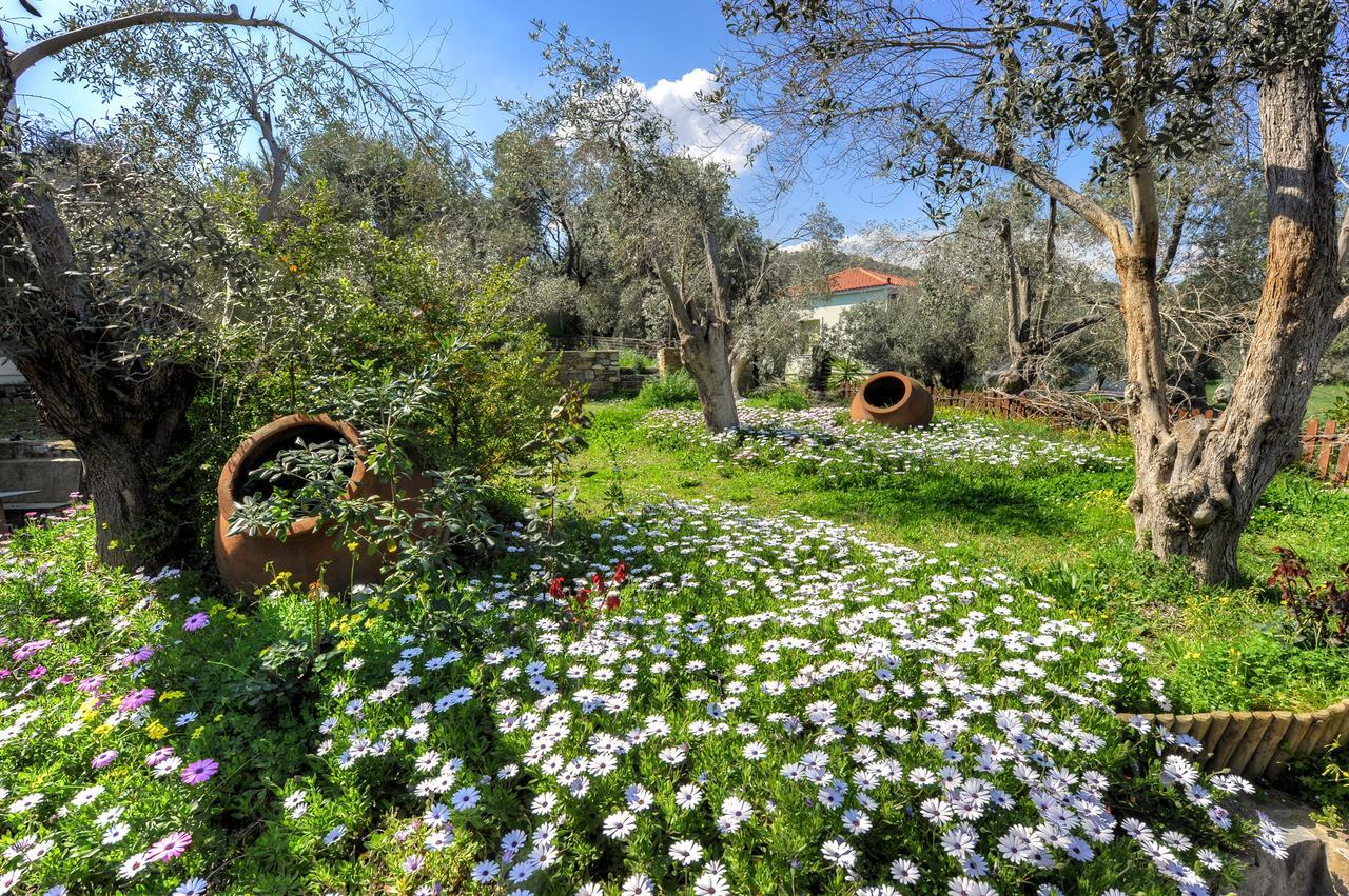 Gera'S Olive Grove - Elaionas Lesvou Hotel Marmaro  Luaran gambar