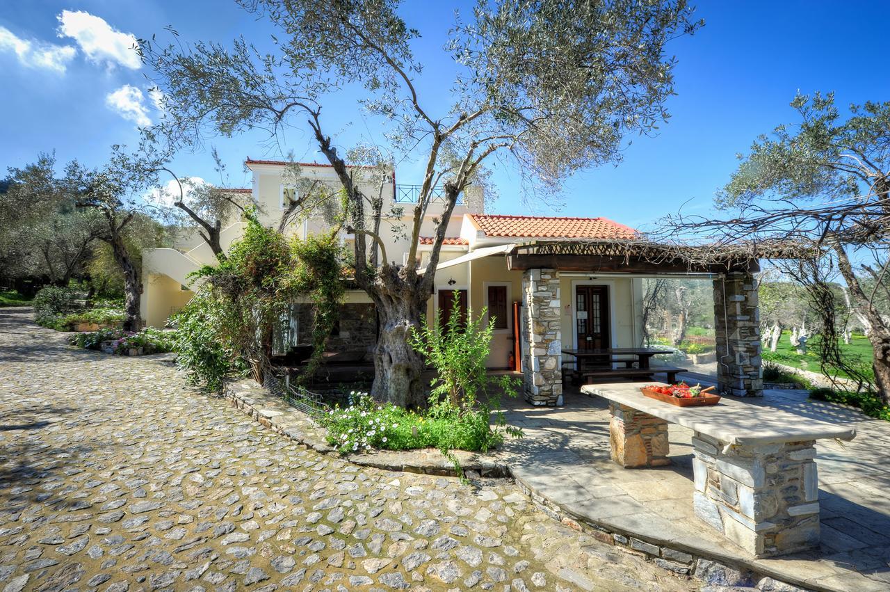 Gera'S Olive Grove - Elaionas Lesvou Hotel Marmaro  Luaran gambar