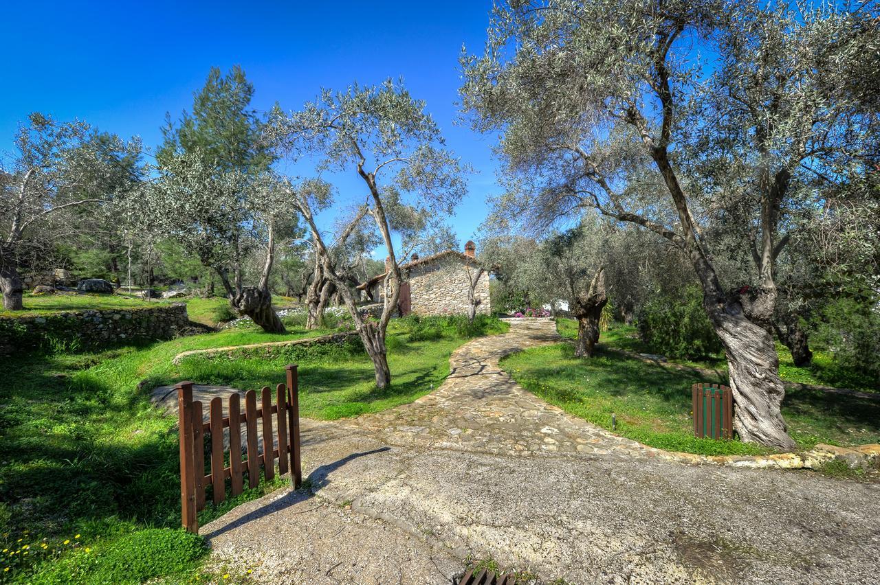 Gera'S Olive Grove - Elaionas Lesvou Hotel Marmaro  Luaran gambar